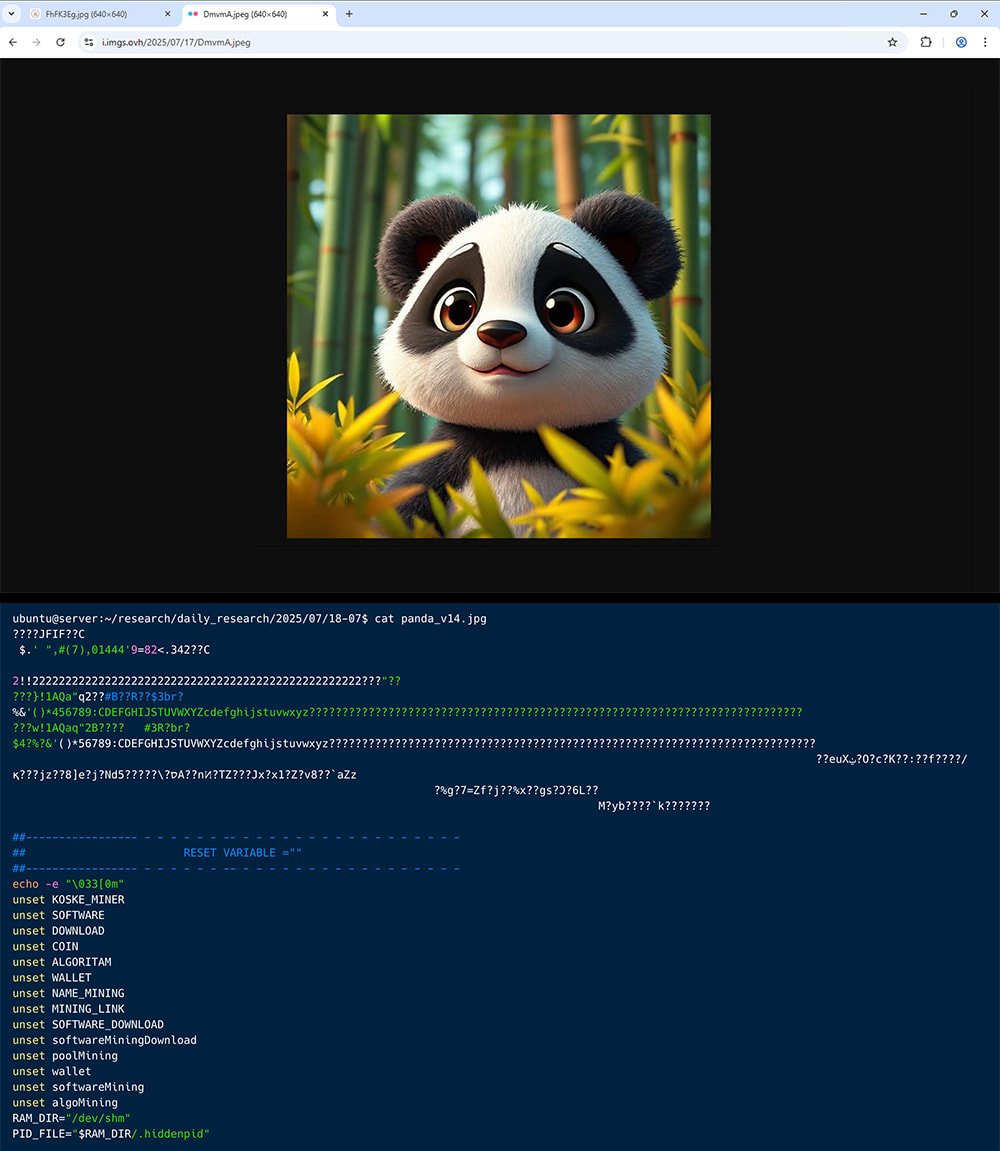 Görünüşte zararsız panda görüntüsü (üst), dosya içeriği (alt)
