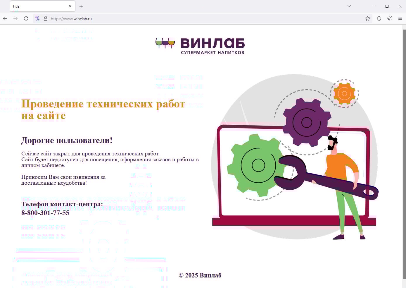 Vinlab web sitesi