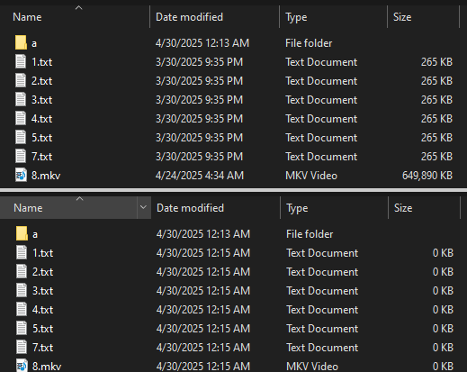 Files before encryption (top) and after (bottom)
