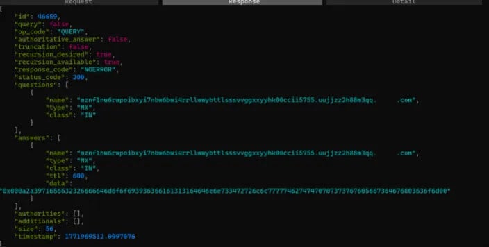 Captured DNS communication