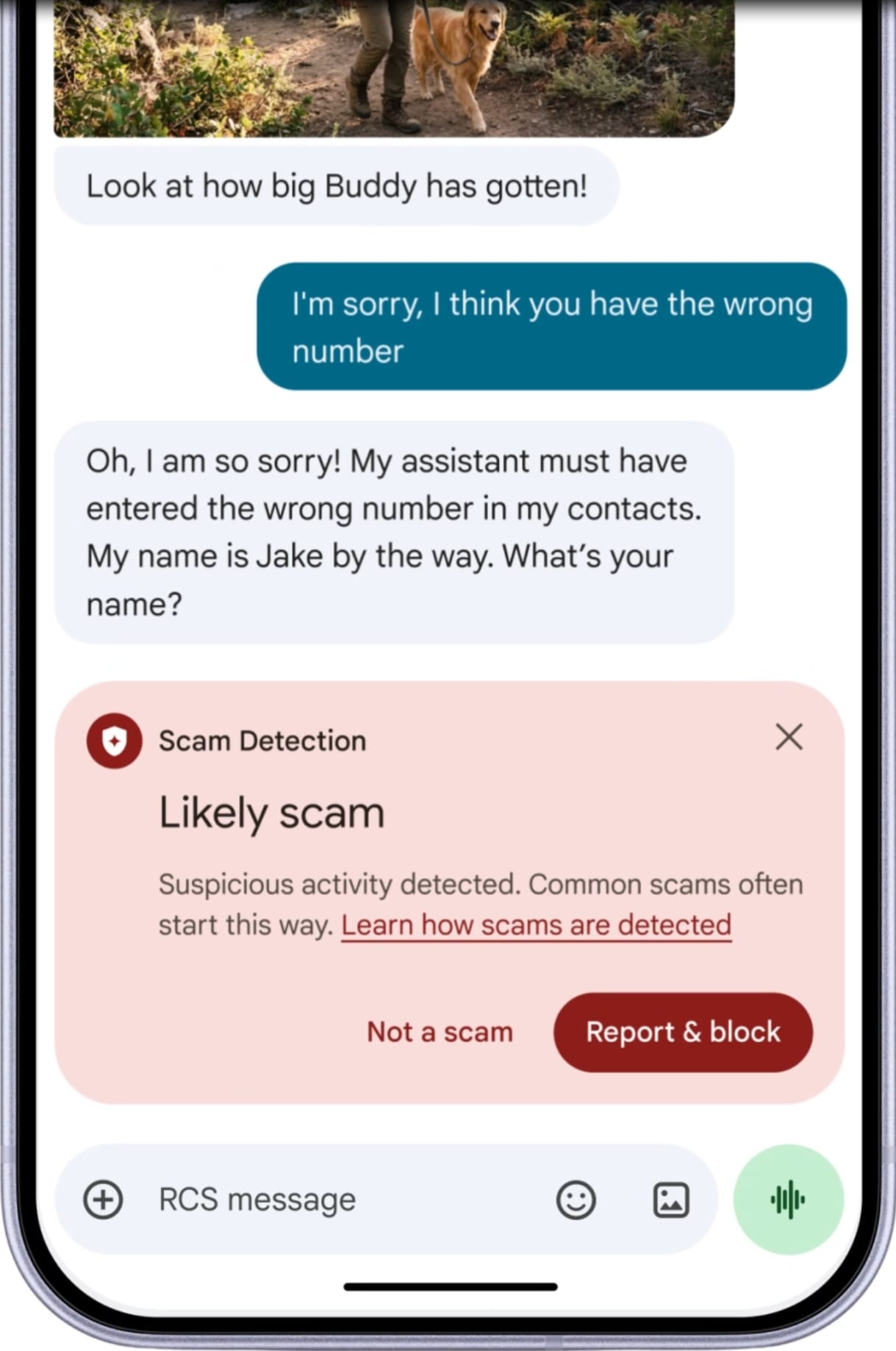 Text scam alert on Android