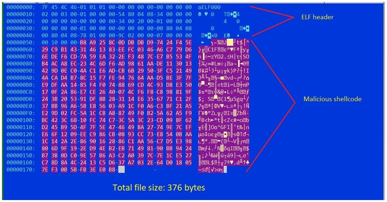 The ELF file that initiates the infection chain