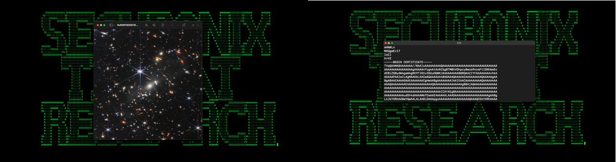 Gleiche Datei im Bildbetrachter (links) und im Texteditor (rechts)