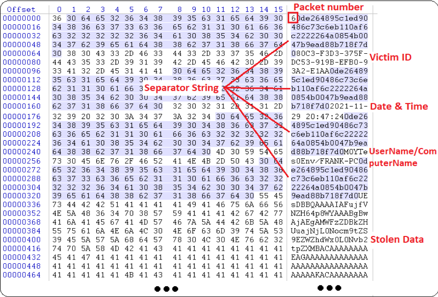 Packets exfiltrated by Agent Tesla