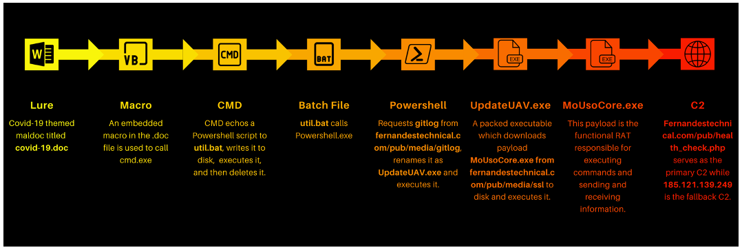 The complete infection process