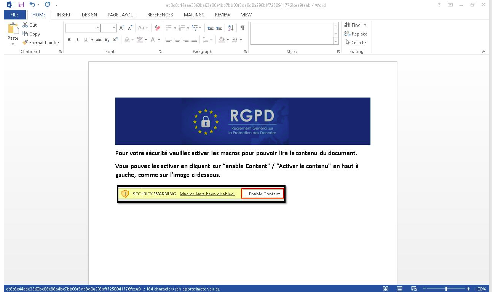 The GDPR-themed document containing macro code