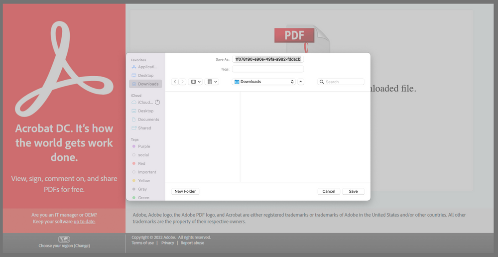 ZIP download dialog and Adobe HTML showing the password