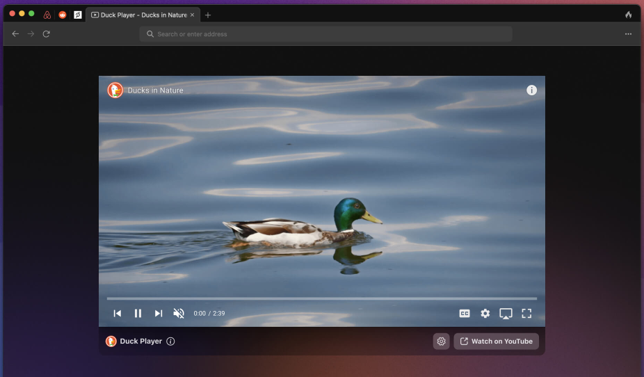 Duck Player in action