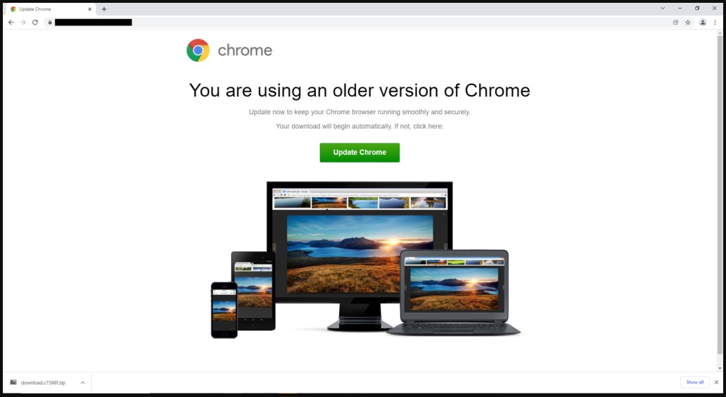 Site displaying the fake browser update notice