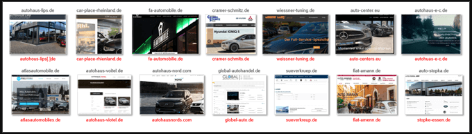 Various lookalike domains used in this campaign