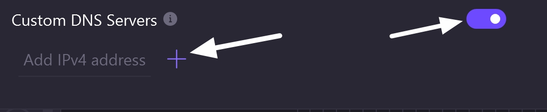 protonvpn custom dns