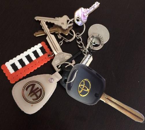 Higgins family lost keys