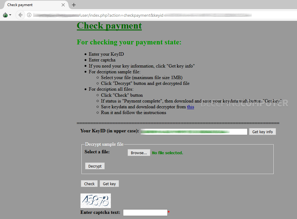 Data Keeper ransom payment page