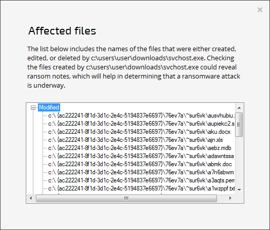 A list of files RansomFree detected as targeted by an encryption process