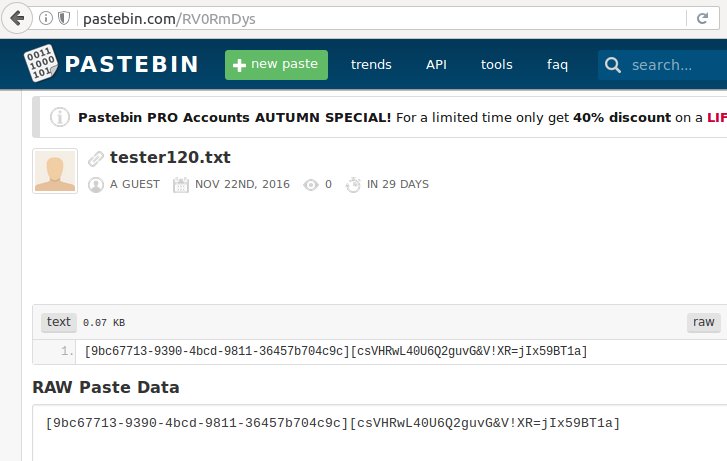 A sample PasteBin page holding a user's encryption/decryption key