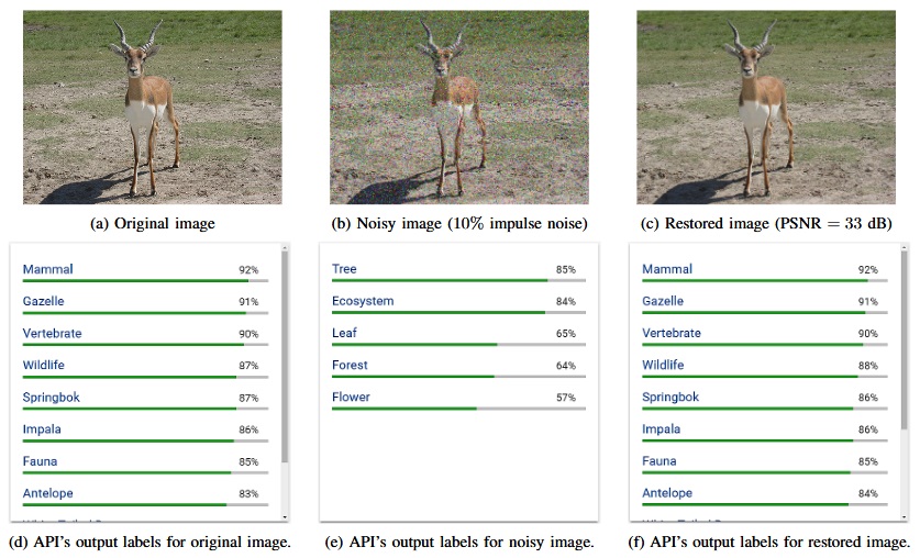 Google AI attack