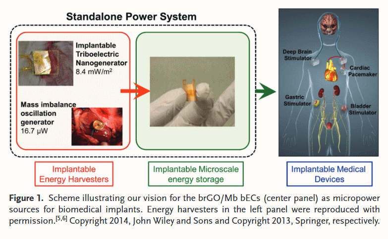 SuperCapacitor-Future-Plans.png