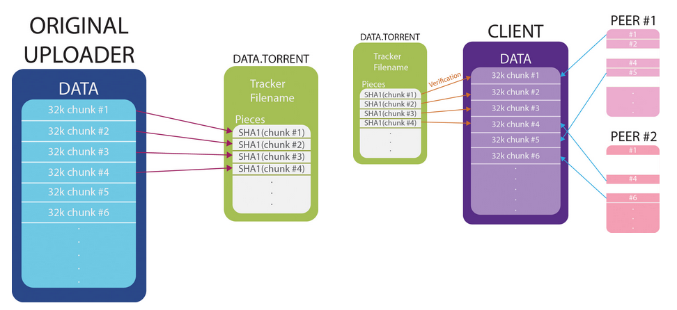 Data torrent rts 1