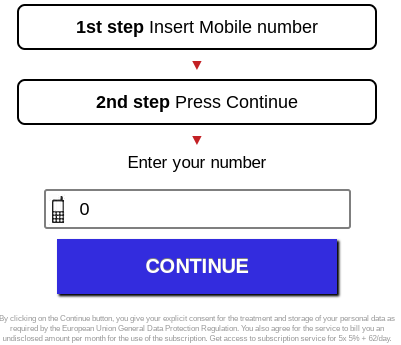 Example deceptive form