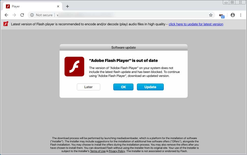 Geld rubber Noord Amerika Berucht Remove the Adobe Flash Player is out of date Scam