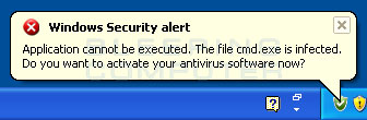 how to remove virus application cannot be executed