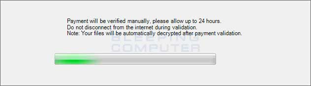 checking-for-payment.jpg