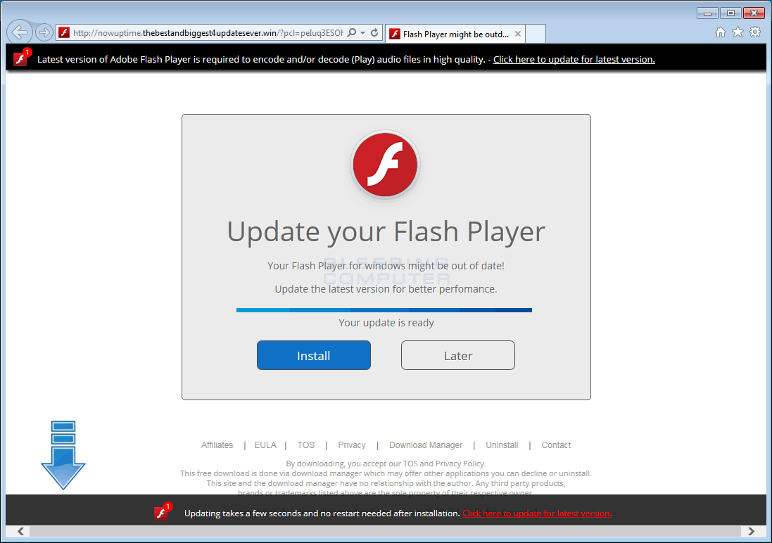 Flash Player for Web