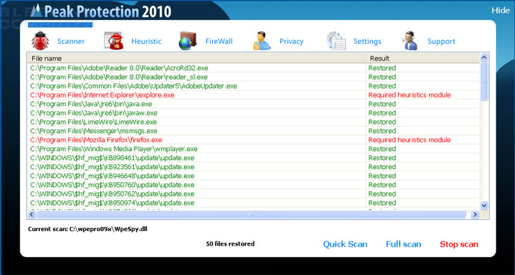 Peak Protection 2010 screen shot