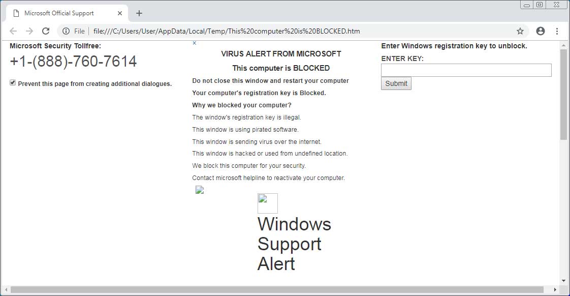 Virus Alert from Microsoft Tech Support Scam Screen 2